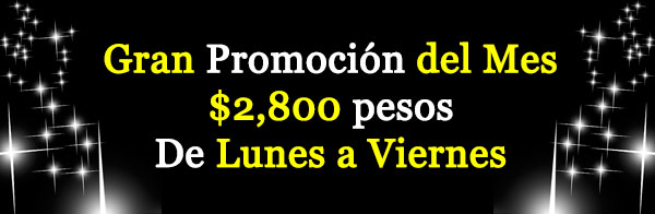 Promocion Mariachi